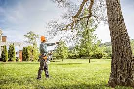 Best Commercial Tree Services  in Venus, TX